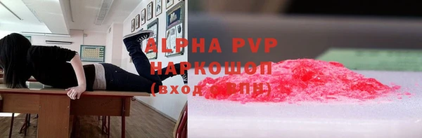 дживик Пересвет