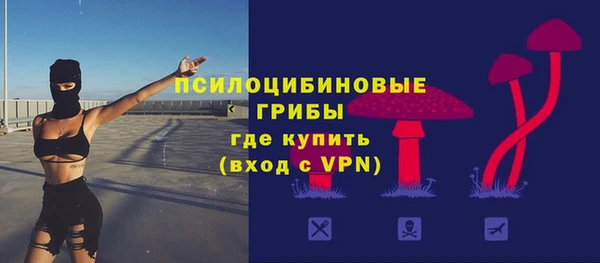 дмт Осинники