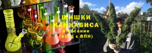 дживик Пересвет