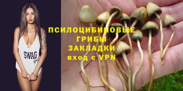 apvp Остров